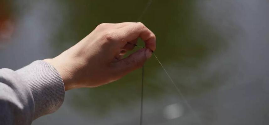 肥水塘钓鱼用饵技巧（钓鱼新手也能轻松掌握的实用指南）