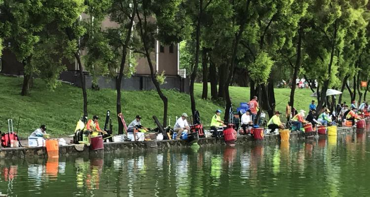 桂江钓鱼技巧大揭秘（掌握这一关键技巧）