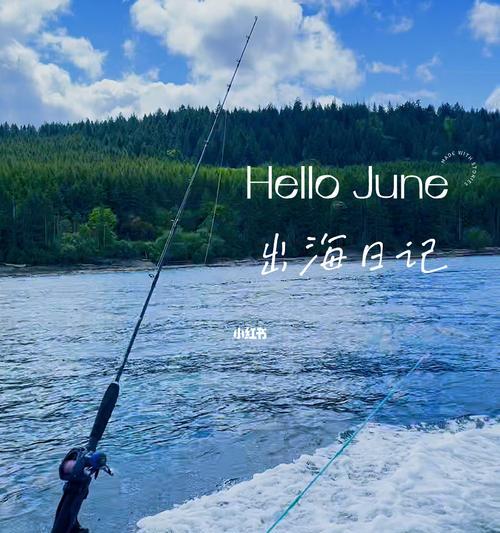 海钓技巧大揭秘（掌握这些技巧）