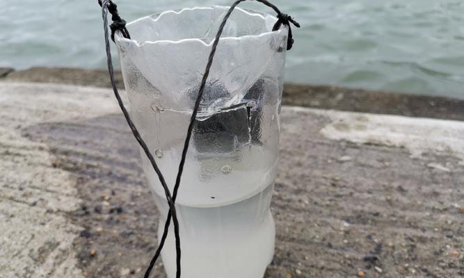 海水钓鱼技巧（在海水中垂钓鱼类）