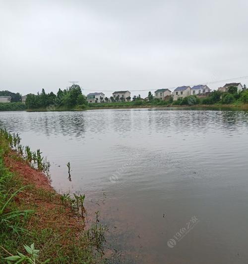 探秘河钓技巧（河中垂钓）