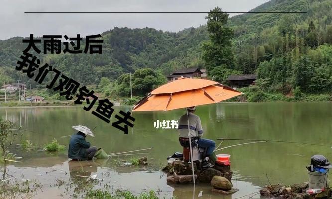 河里钓鱼技巧（玩转河钓）