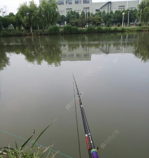 湖边钓鱼技巧大揭秘（湖边钓鱼技巧教程分享及实践经验）