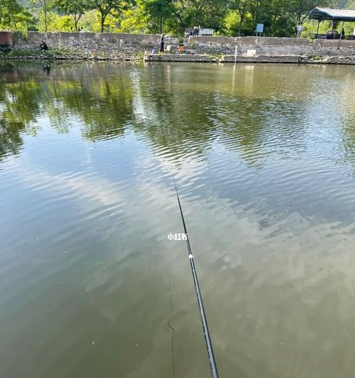 湖钓鱼的技巧与方法（掌握湖钓技巧）