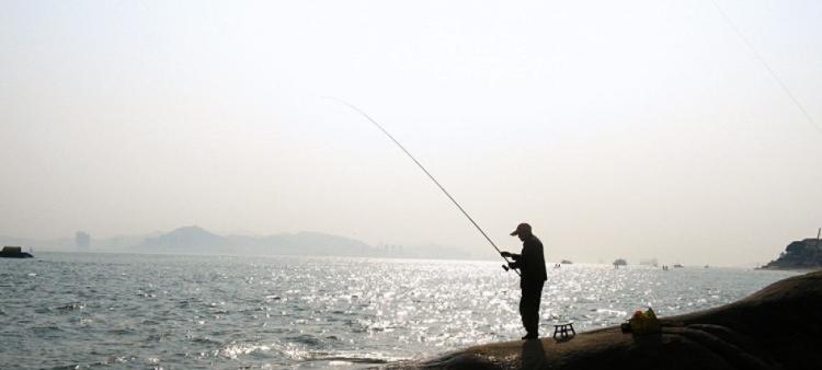 急流钓鱼技巧（掌握钓鱼技巧）