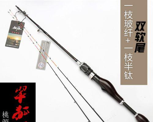 在家制作鱼竿钓鱼技巧（打造专属鱼竿）