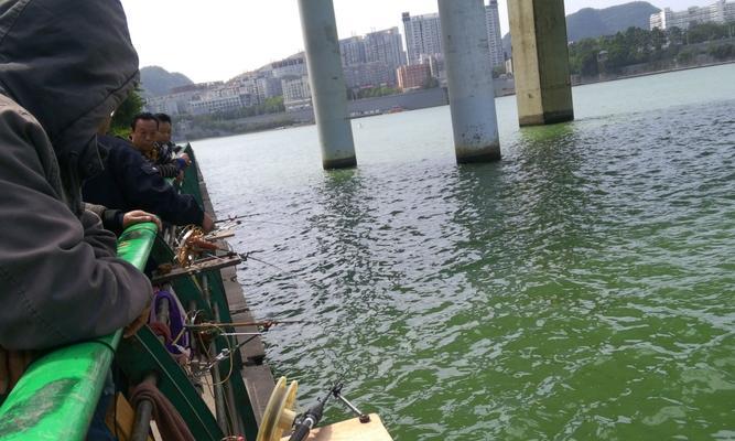 江边钓鱼技巧与方法（掌握成功钓鱼的关键技巧）
