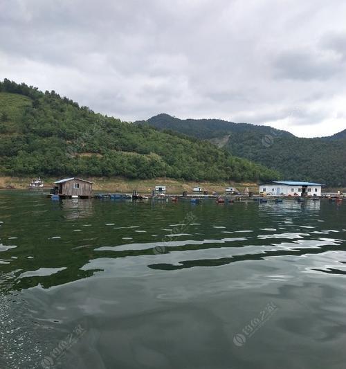 来宾红水河钓鱼技巧（掌握红水河钓鱼技巧）