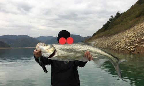 来宾红水河钓鱼技巧（掌握红水河钓鱼技巧）