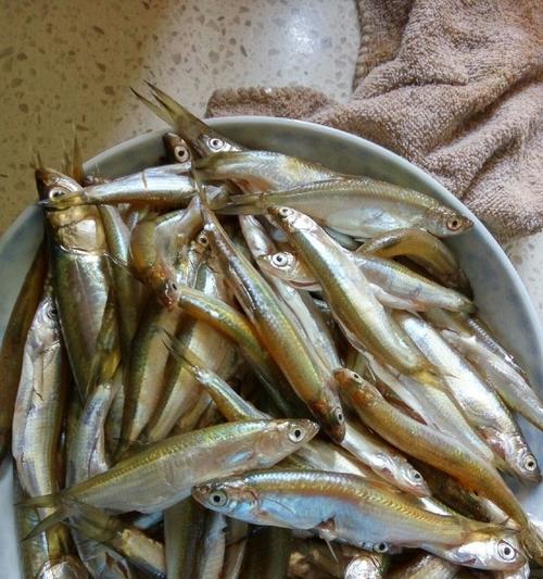 流水河中钓白条技巧（掌握技巧）