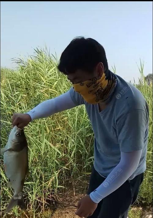 炎热夏日的钓鱼技巧（高温下的优势利用与鱼的活动习性分析）