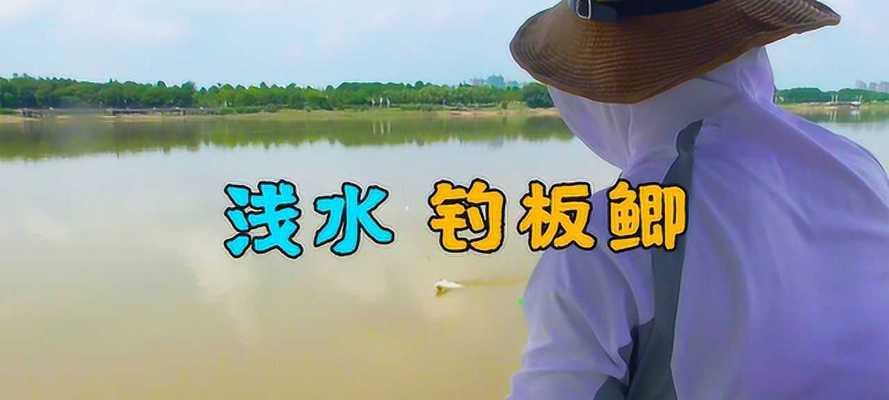 浅水钓鱼技巧与要点（轻松掌握浅水钓鱼的秘诀）
