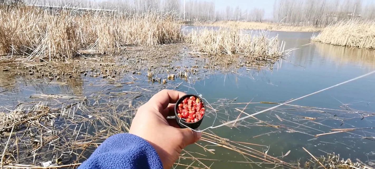 清水垂钓的经验技巧（掌握垂钓技巧享受清水之趣）