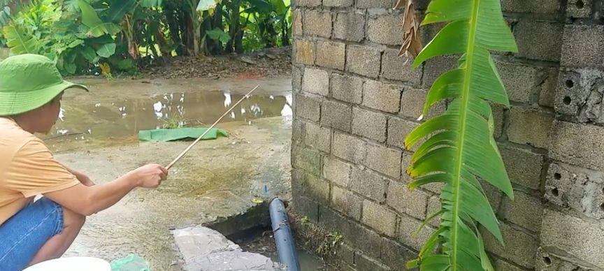 水沟钓鱼技巧（提升水沟钓鱼成功率的实用技巧）