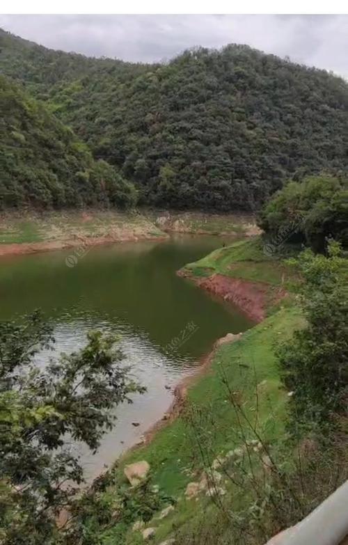 水库钓鱼用饲料的技巧（提高效果的秘诀）