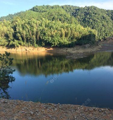 五强溪水库钓鱼技巧（提高钓鱼成功率的实用经验分享）