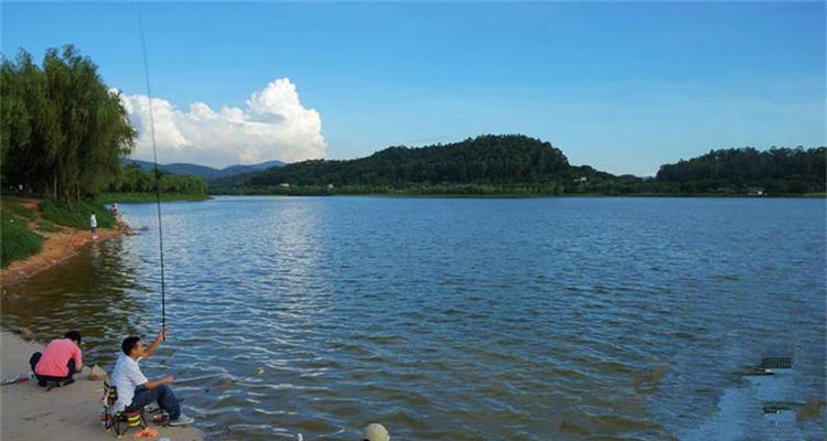虾池钓鱼技巧与方法（掌握虾池钓鱼技巧）