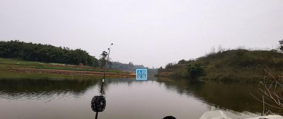 小沟钓鱼技巧与方法（轻松掌握的钓鱼秘籍）