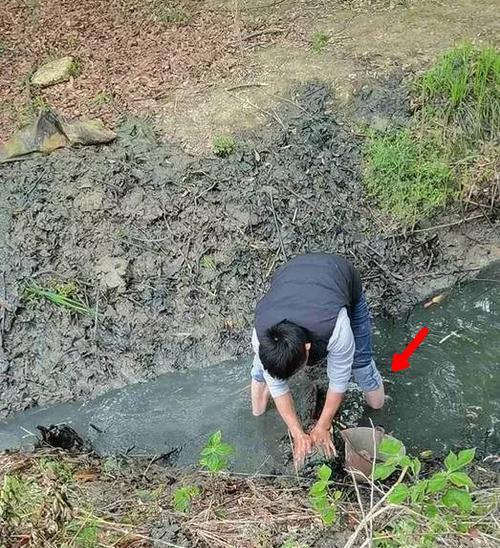 微型钓鱼，小水沟中的乐趣（小鱼竿带来大收获）
