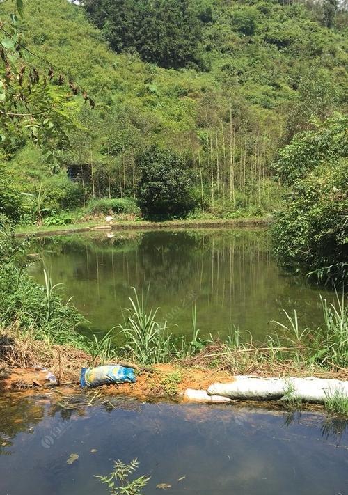 养鱼塘垂钓的技巧与经验（提高垂钓效果的关键是掌握好这些技巧）