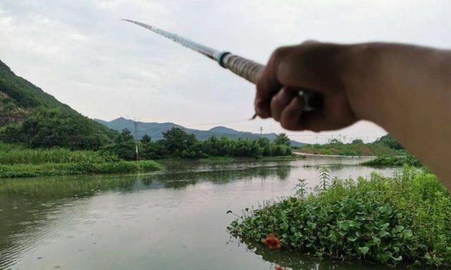 养殖塘钓鱼技巧大揭秘（如何成为塘钓高手）
