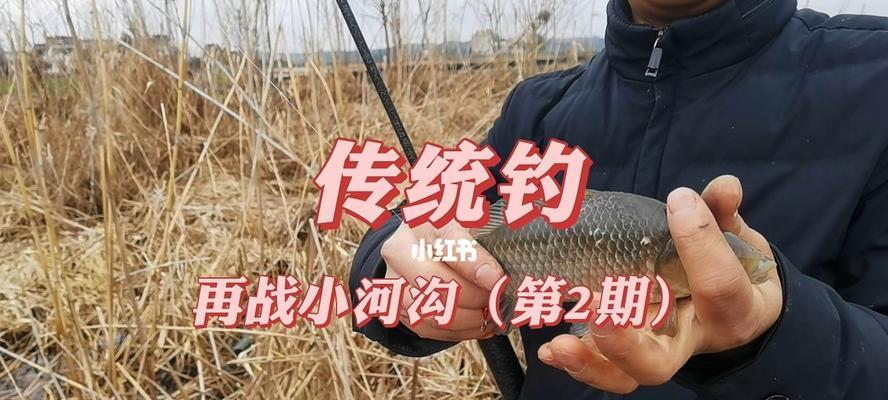 野外钓鱼技巧大揭秘（掌握在野河沟钓鱼的窍门）