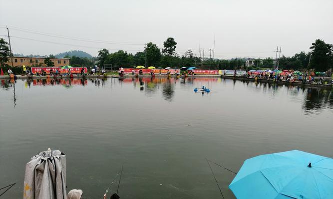 早晨鱼塘钓鱼技巧（享受早晨钓鱼的乐趣）