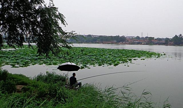 早春流水钓鱼技巧（捕获丰收）