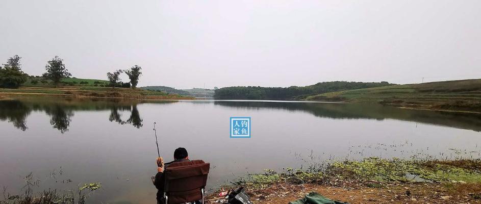 早春流水钓鱼技巧（捕获丰收）