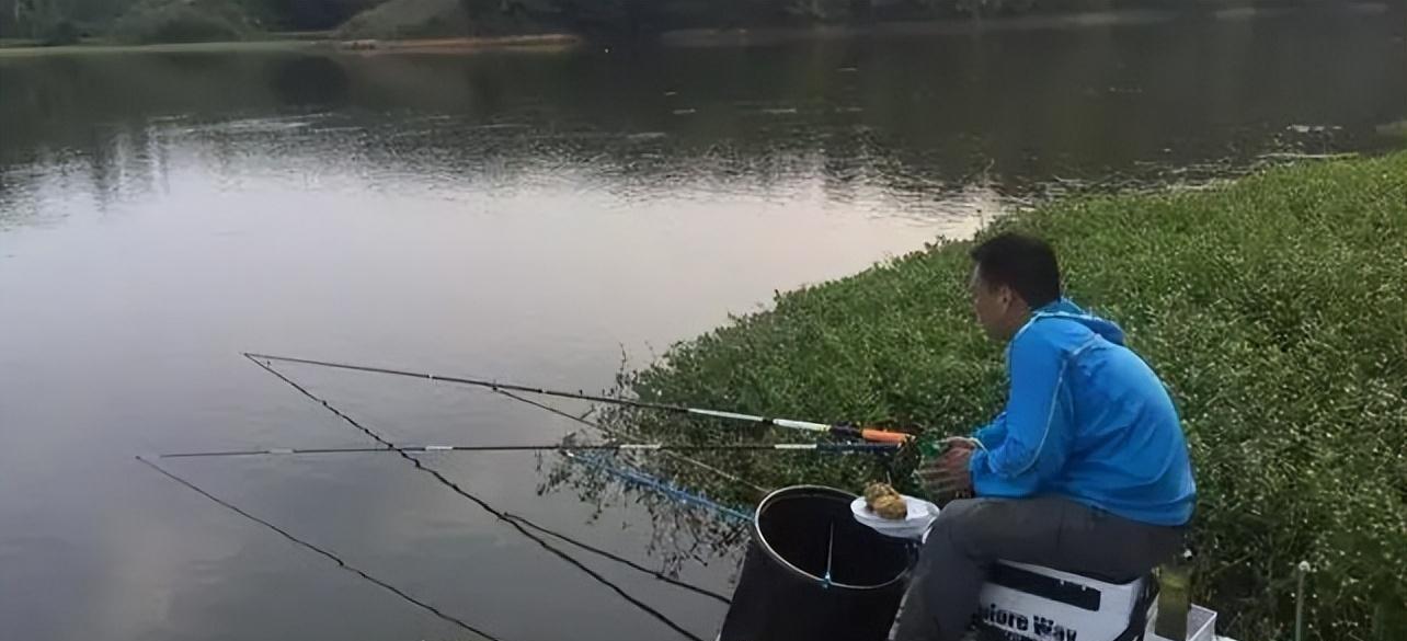 早春晴天钓鱼技巧（钓鱼新手的必备指南）