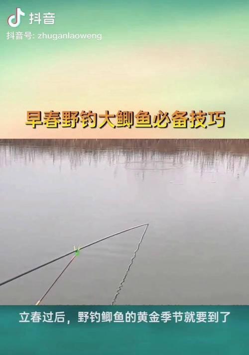 早春野钓鲫鱼技巧与方法（掌握这一关键技巧）