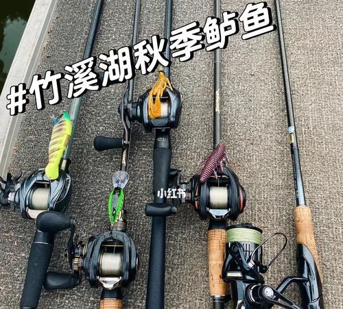 竹溪湖钓鱼技巧有哪些？如何提高钓鱼成功率？