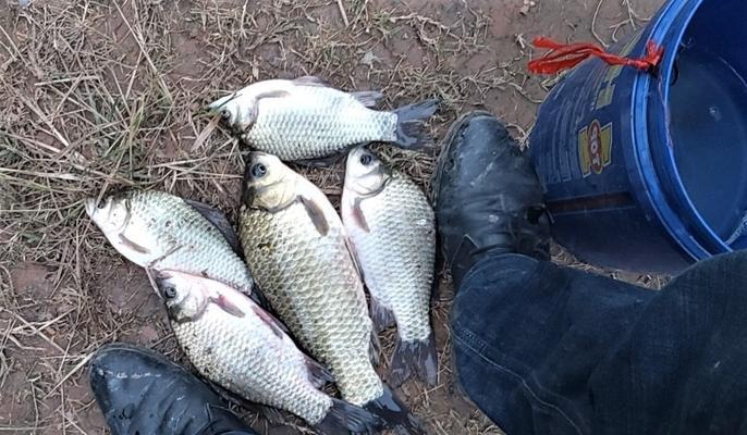 抓鱼小技巧野钓？如何提高野钓时的捕鱼效率？