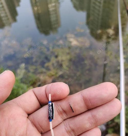 专业钓鱼调漂技巧有哪些？如何快速掌握调漂方法？