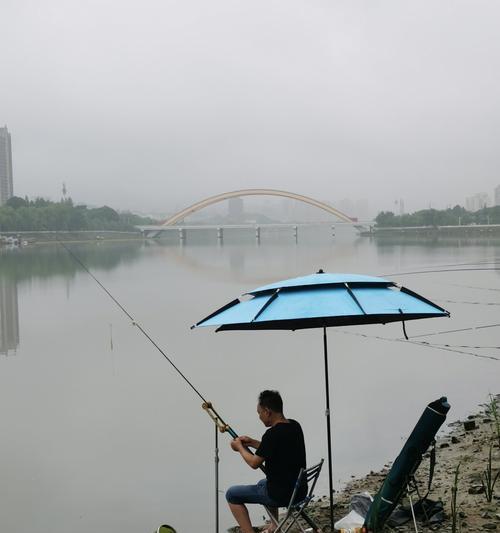 如何快速掌握专业钓鱼技巧小？常见问题有哪些？