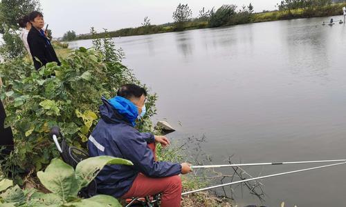 砖砌鱼池钓鱼技巧教程？如何打造完美钓鱼环境？