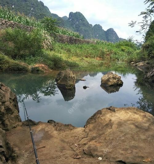 砖砌鱼池钓鱼技巧教程？如何打造完美钓鱼环境？