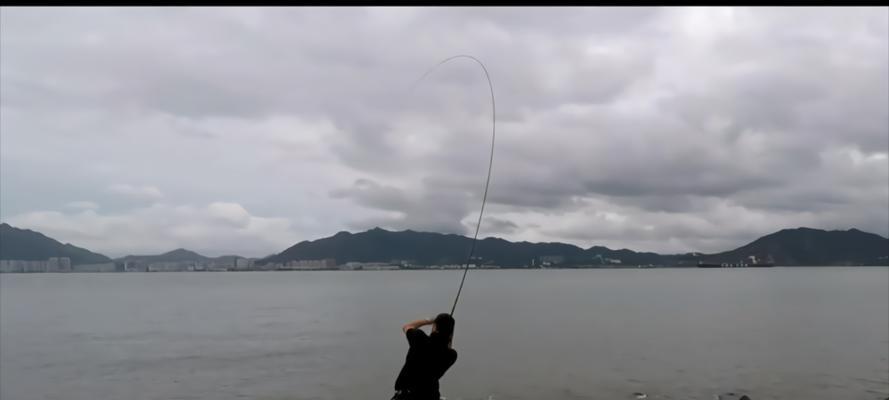 资深钓鱼人肥水塘钓鱼技巧有哪些？如何提高肥水塘钓鱼成功率？