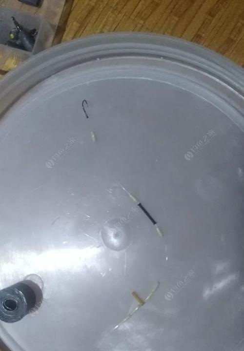 子线双铅钓鱼调漂技巧教程？如何快速掌握？