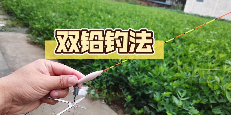 子线双铅钓鱼调漂技巧教程？如何快速掌握？