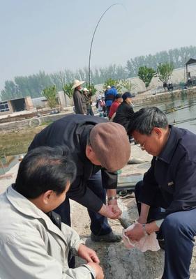 紫竹院钓鱼技巧有哪些？如何提高钓鱼成功率？