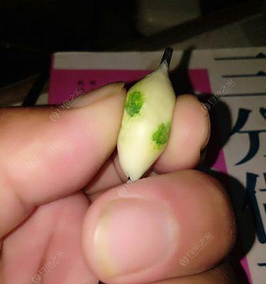 自创钓鱼技巧教程？如何快速掌握钓鱼技巧？