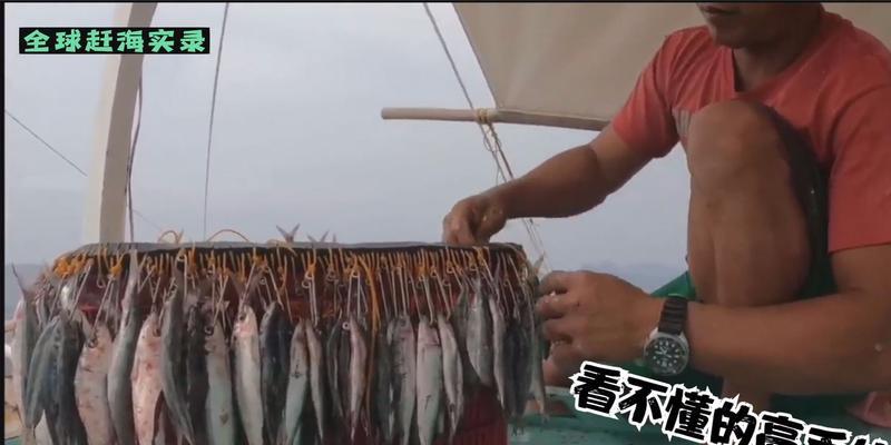 自动延绳钓鱼技巧有哪些？如何提高钓鱼效率？