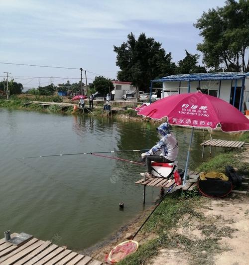 自驾钓鱼100个绝密技巧是什么？如何有效提升钓鱼体验？