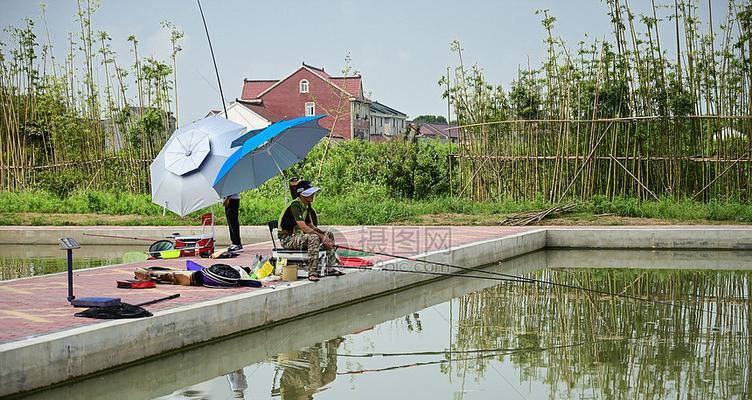 自建养鱼池钓鱼技巧有哪些？如何提高钓鱼成功率？