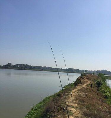 自然河道大水面钓鱼方法和技巧是什么？如何提高钓鱼成功率？