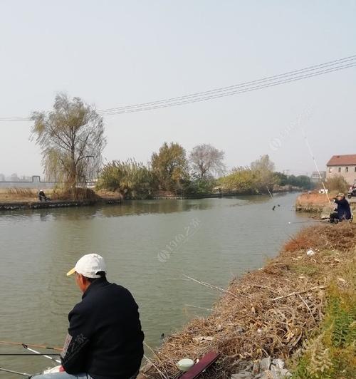 自然河道大水面钓鱼方法和技巧是什么？如何提高钓鱼成功率？
