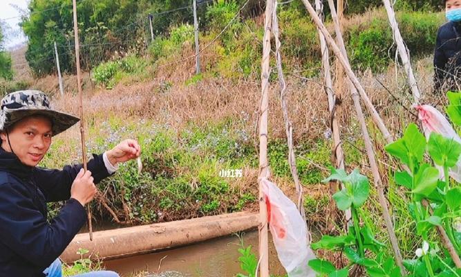 自然水坑钓鱼技巧有哪些？如何提高钓鱼成功率？