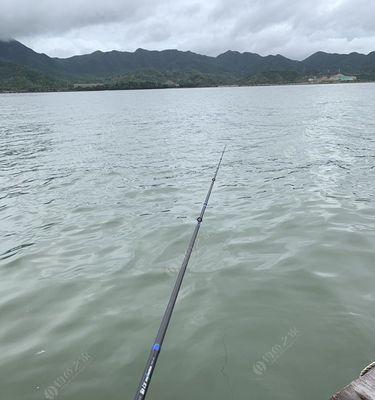 自然水坑钓鱼技巧教程？如何提高钓鱼成功率？