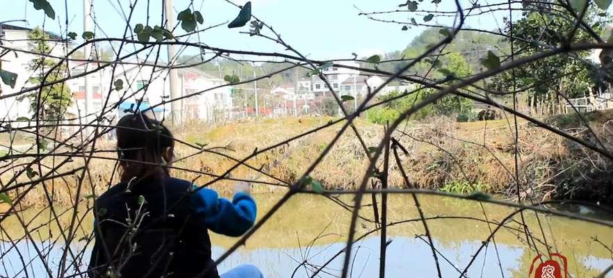 自然水坑钓鱼技巧教程？如何提高钓鱼成功率？